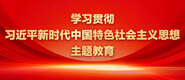 逼逼艹学习贯彻习近平新时代中国特色社会主义思想主题教育_fororder_ad-371X160(2)